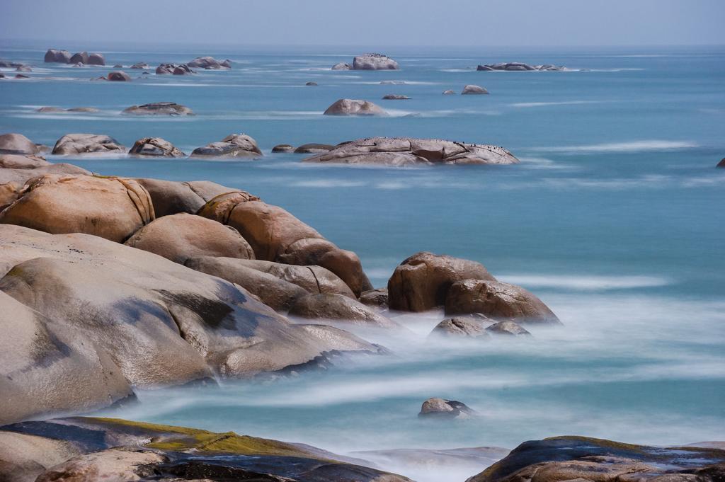The Oystercatchers Haven At باتيرنوستير المظهر الخارجي الصورة