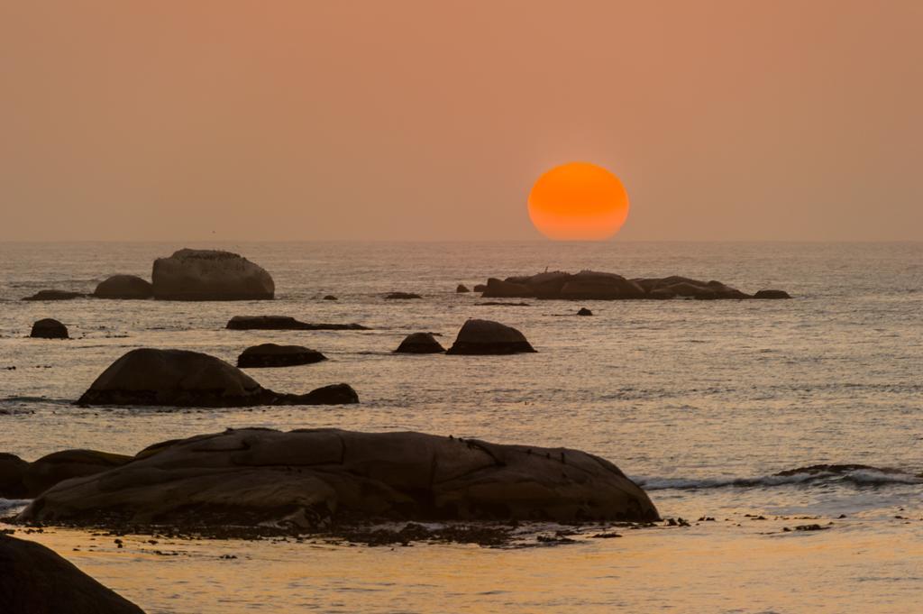 The Oystercatchers Haven At باتيرنوستير المظهر الخارجي الصورة
